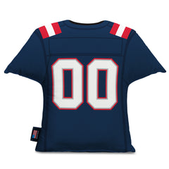 NFL: New England Patriots