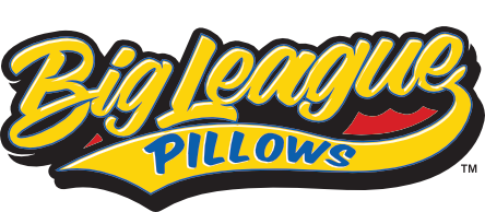 NHL: Pittsburgh Penguins – Big League Pillows