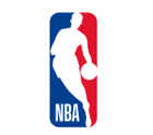 NBA: New York Knicks – Big League Pillows